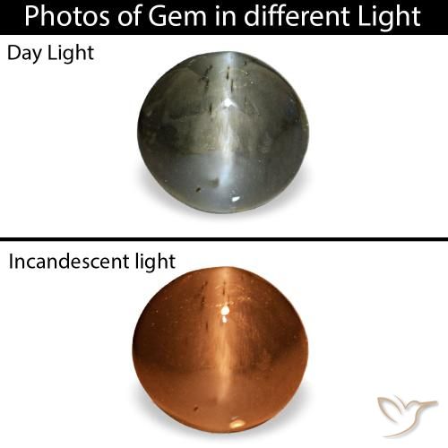 0.47 ct Gray Cat's Eye Alexandrite Gemstone, Cat's Eye Alexandrite Gem in Oval Cabochon Shape for Sale.