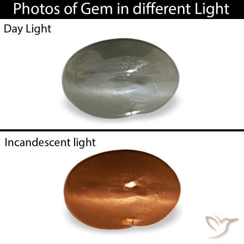 0.35 ct Gray Cat's Eye Alexandrite Gemstone, Cat's Eye Alexandrite Gem in Oval Cabochon Shape for Sale.