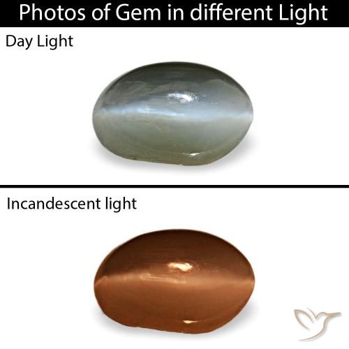 0.40ct Gray Cat'S Eye Alexandrite, Oval, Opaque