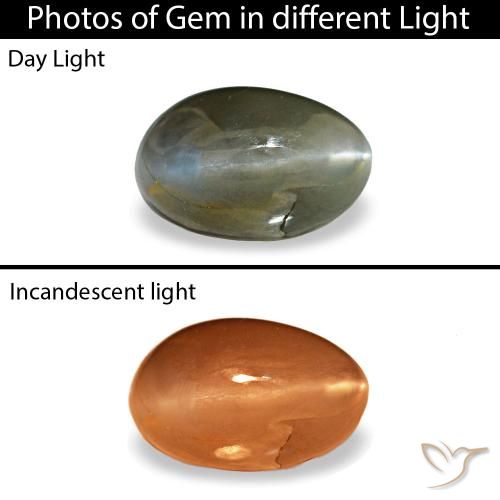 0.46ct Gray Cat'S Eye Alexandrite, Oval, Opaque