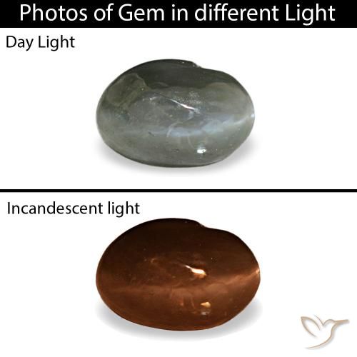 0.41ct Gray Cat'S Eye Alexandrite, Oval, Opaque