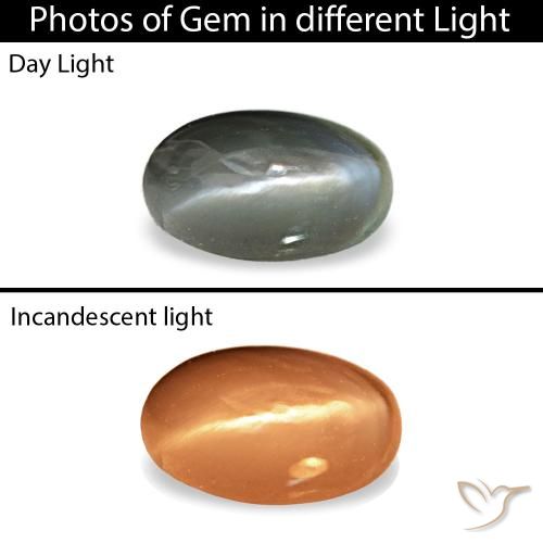 0.43ct Gray Cat'S Eye Alexandrite, Oval, Opaque