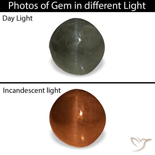 0.66 ct Gray Cat's Eye Alexandrite Gemstone, Cat's Eye Alexandrite Gem in Round Cabochon Shape for Sale.