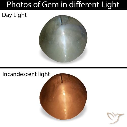 0.85ct Gray Cat'S Eye Alexandrite, Round, Opaque