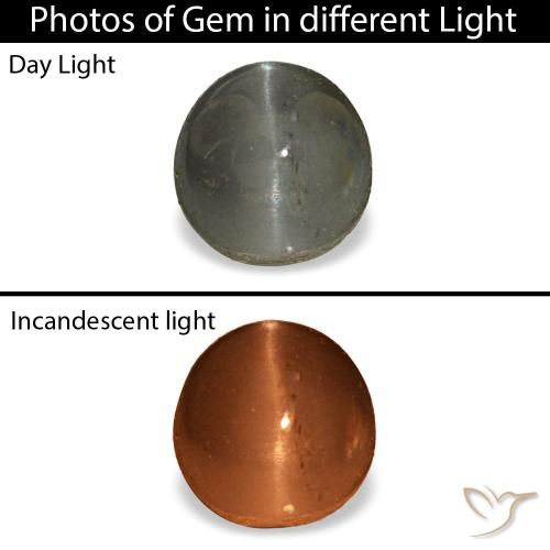 0.80 ct Gray Cat's Eye Alexandrite Gemstone, Cat's Eye Alexandrite Gem in Oval Cabochon Shape for Sale.
