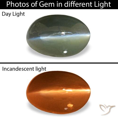 0.50ct Gray Cat'S Eye Alexandrite, Oval, Opaque