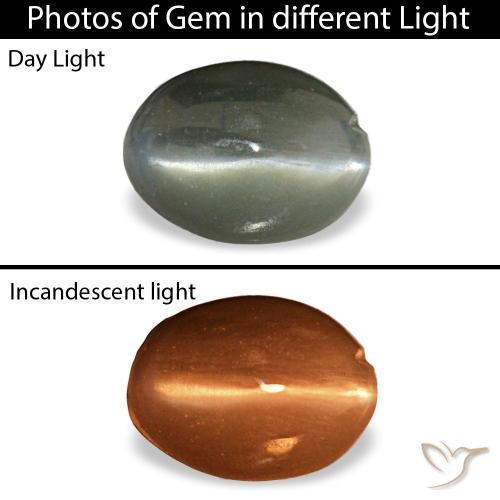 0.39ct Gray Cat'S Eye Alexandrite, Oval, Opaque