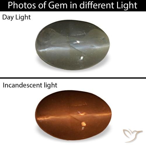 0.47ct Gray Cat'S Eye Alexandrite, Oval, Opaque