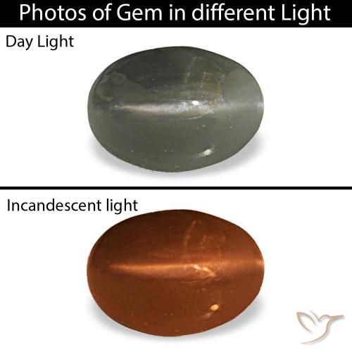 0.47ct Gray Cat'S Eye Alexandrite, Oval, Opaque