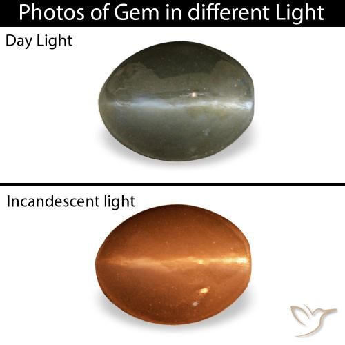 0.45ct Gray Cat'S Eye Alexandrite, Oval, Opaque