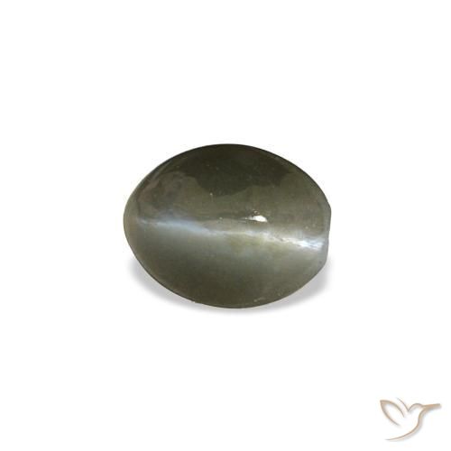 0.45 ct Gray Cat's Eye Alexandrite Stone, Natural Cat's Eye Alexandrite in Oval Cabochon Shape for Sale