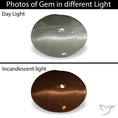1.03ct Gray Cat'S Eye Alexandrite, Oval, Opaque