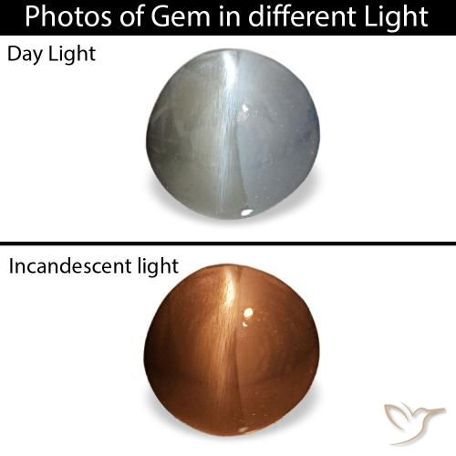0.88 ct Gray Cat's Eye Alexandrite Gemstone, Cat's Eye Alexandrite Gem in Oval Cabochon Shape for Sale.