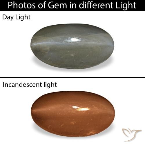 1.01ct Gray Cat'S Eye Alexandrite, Oval, Opaque