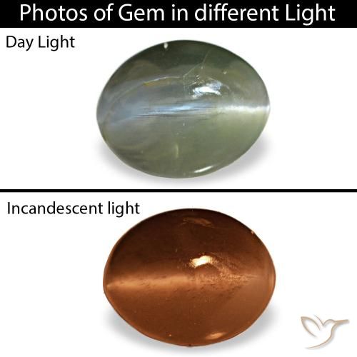 0.64ct Gray Cat'S Eye Alexandrite, Oval, Opaque