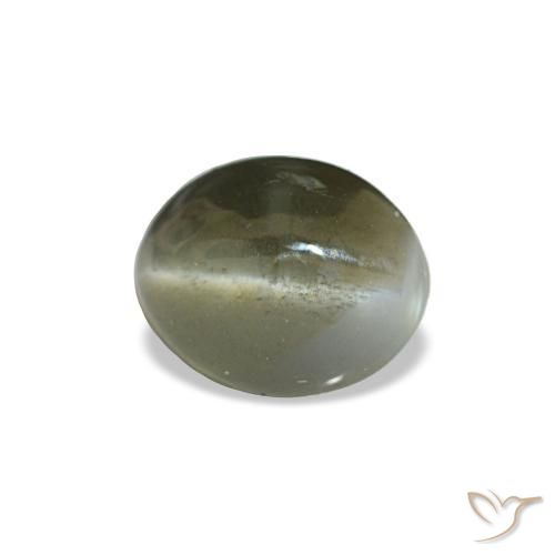 0.64 ct Gray Cat's Eye Alexandrite Stone, Natural Cat's Eye Alexandrite in Oval Cabochon Shape for Sale