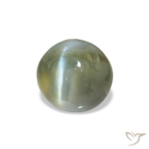 0.60 ct Green Cat's Eye Alexandrite Stone, Natural Cat's Eye Alexandrite in Oval Cabochon Shape for Sale