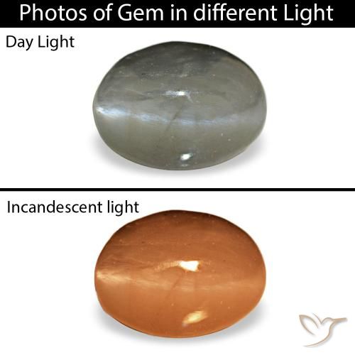0.72 ct Gray Cat's Eye Alexandrite Gemstone, Cat's Eye Alexandrite Gem in Oval Cabochon Shape for Sale.