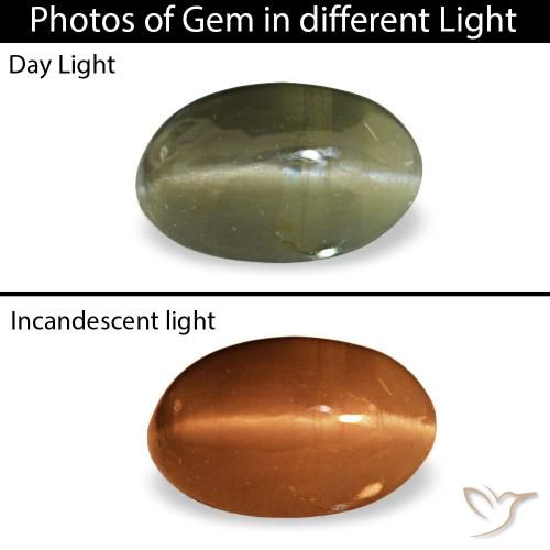 0.34 ct Green Cat's Eye Alexandrite Gemstone, Cat's Eye Alexandrite Gem in Oval Cabochon Shape for Sale.