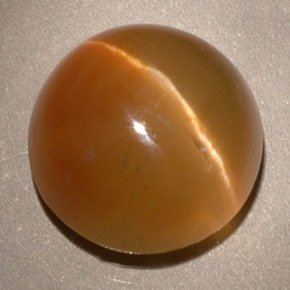 3.62 ct Yellow Cat's Eye Apatite Stone, Natural Cat's Eye Apatite in Round Cabochon Shape for Sale