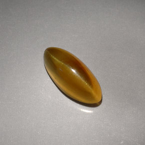 Cat's Eye Apatite Gemstone in 11.6 x 5.3 mm Size for Sale, Cat's Eye Apatite Stone in Honey Color
