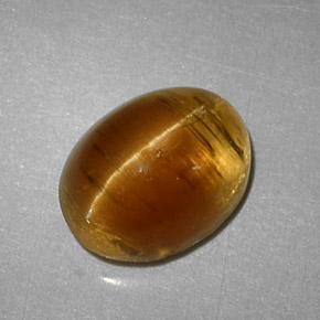 Cat's Eye Apatite Gemstone in 9 x 7 mm (calibrated) Size for Sale, Cat's Eye Apatite Stone in Honey Color