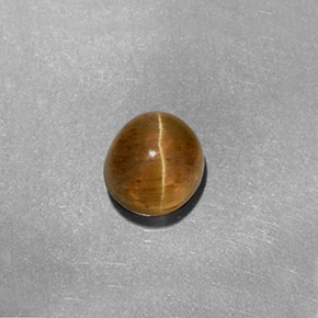 1.61 ct Yellow Cat's Eye Apatite Stone, Natural Cat's Eye Apatite in Oval Cabochon Shape for Sale