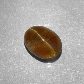 Cat's Eye Apatite Gemstone in 8.3 x 6.3 mm Size for Sale, Cat's Eye Apatite Stone in Honey Color