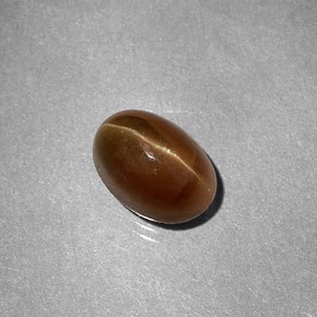 Cat's Eye Apatite Gemstone in 8 x 5.6 mm Size for Sale, Cat's Eye Apatite Stone in Honey Color