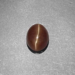 1.47 ct Yellow Cat's Eye Apatite Stone, Natural Cat's Eye Apatite in Oval Cabochon Shape for Sale