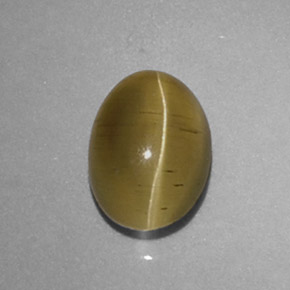 1.48 ct Yellow Cat's Eye Apatite Stone, Natural Cat's Eye Apatite in Oval Cabochon Shape for Sale
