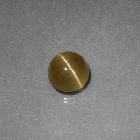1.12 ct Yellow Cat's Eye Apatite Gemstone, Cat's Eye Apatite Gem in Round Cabochon Shape for Sale.