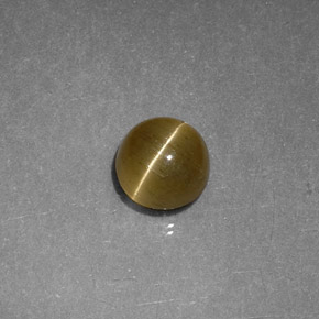 1.12 ct Yellow Cat's Eye Apatite Stone, Natural Cat's Eye Apatite in Round Cabochon Shape for Sale
