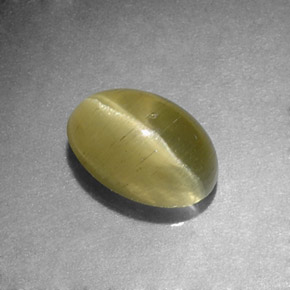 1.31 ct Green Cat's Eye Apatite Stone, Natural Cat's Eye Apatite in Oval Cabochon Shape for Sale