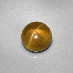 2.26 ct Yellow Cat's Eye Apatite Stone, Natural Cat's Eye Apatite in Round Cabochon Shape for Sale