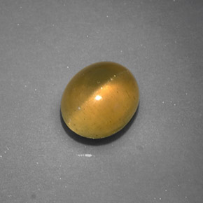 1.27 ct Yellow Cat's Eye Apatite Stone, Natural Cat's Eye Apatite in Oval Cabochon Shape for Sale