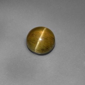 3.08 ct Green Cat's Eye Apatite Gemstone, Cat's Eye Apatite Gem in Round Cabochon Shape for Sale.