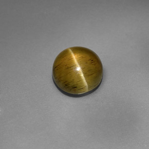 3.08 ct Green Cat's Eye Apatite Stone, Natural Cat's Eye Apatite in Round Cabochon Shape for Sale