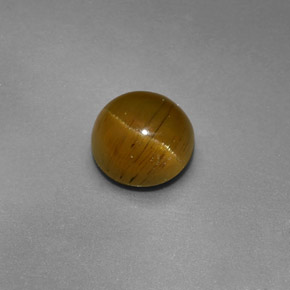 1.47 ct Green Cat's Eye Apatite Gemstone, Cat's Eye Apatite Gem in Round Cabochon Shape for Sale.