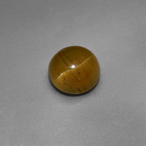 1.47 ct Green Cat's Eye Apatite Stone, Natural Cat's Eye Apatite in Round Cabochon Shape for Sale