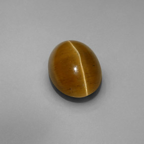 6.13 ct Yellow Cat's Eye Apatite Stone, Natural Cat's Eye Apatite in Oval Cabochon Shape for Sale