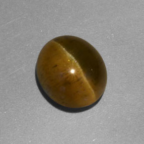 3.92 ct Yellow Cat's Eye Apatite Stone, Natural Cat's Eye Apatite in Oval Cabochon Shape for Sale