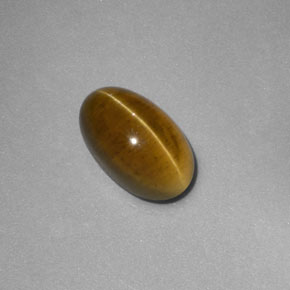 Cat's Eye Apatite Gemstone in 9.5 x 5.9 mm Size for Sale, Cat's Eye Apatite Stone in Greenish Golden Color