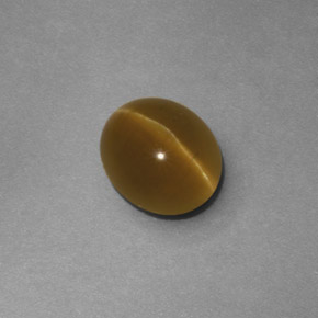 2.19 ct Yellow Cat's Eye Apatite Stone, Natural Cat's Eye Apatite in Oval Cabochon Shape for Sale