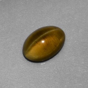 1.26 ct Yellow Cat's Eye Apatite Stone, Natural Cat's Eye Apatite in Oval Cabochon Shape for Sale