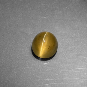 Cat's Eye Apatite Gemstone in 7.4 x 6.8 mm Size for Sale, Cat's Eye Apatite Stone in Golden Green Color