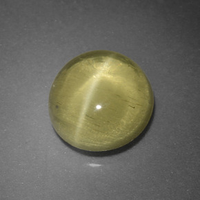 1.66 ct Green Cat's Eye Apatite Gemstone, Cat's Eye Apatite Gem in Round Cabochon Shape for Sale.