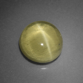 1.66 ct Green Cat's Eye Apatite Stone, Natural Cat's Eye Apatite in Round Cabochon Shape for Sale