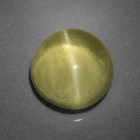 2.63 ct Green Cat's Eye Apatite Stone, Natural Cat's Eye Apatite in Round Cabochon Shape for Sale