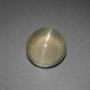 5.65 ct Green Cat's Eye Apatite Stone, Natural Cat's Eye Apatite in Round Cabochon Shape for Sale